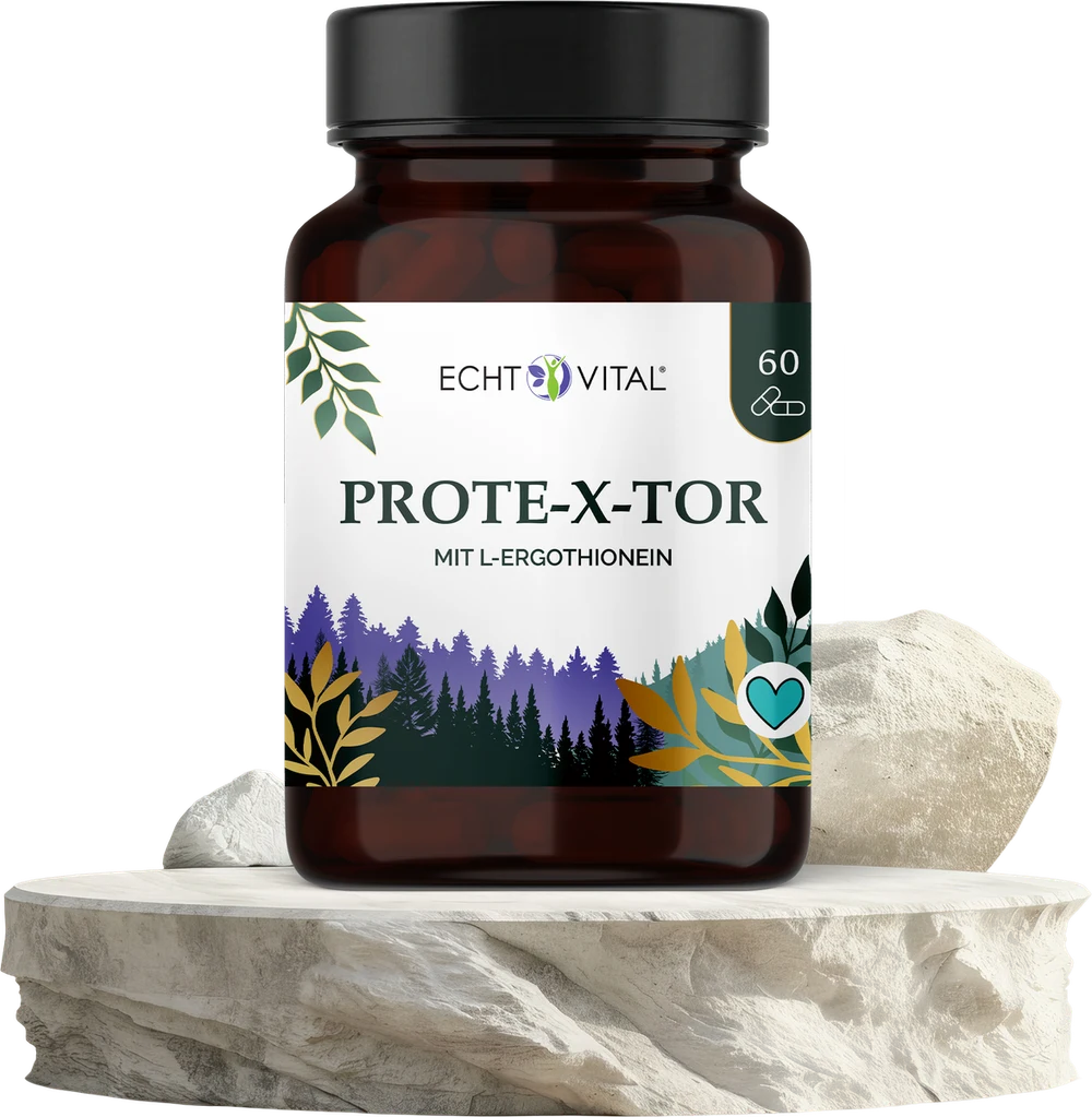 PROTE-X-TOR von Echt Vital – Originalglas auf einer Steinplatte